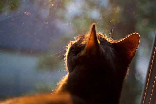 从海布里到五环，当穆勒的足球智慧点亮奥运赛场