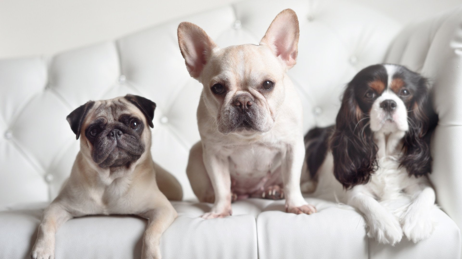 错位时空的绿茵对话,当哥伦比亚的狂想曲遇上德意志的钢铁意志