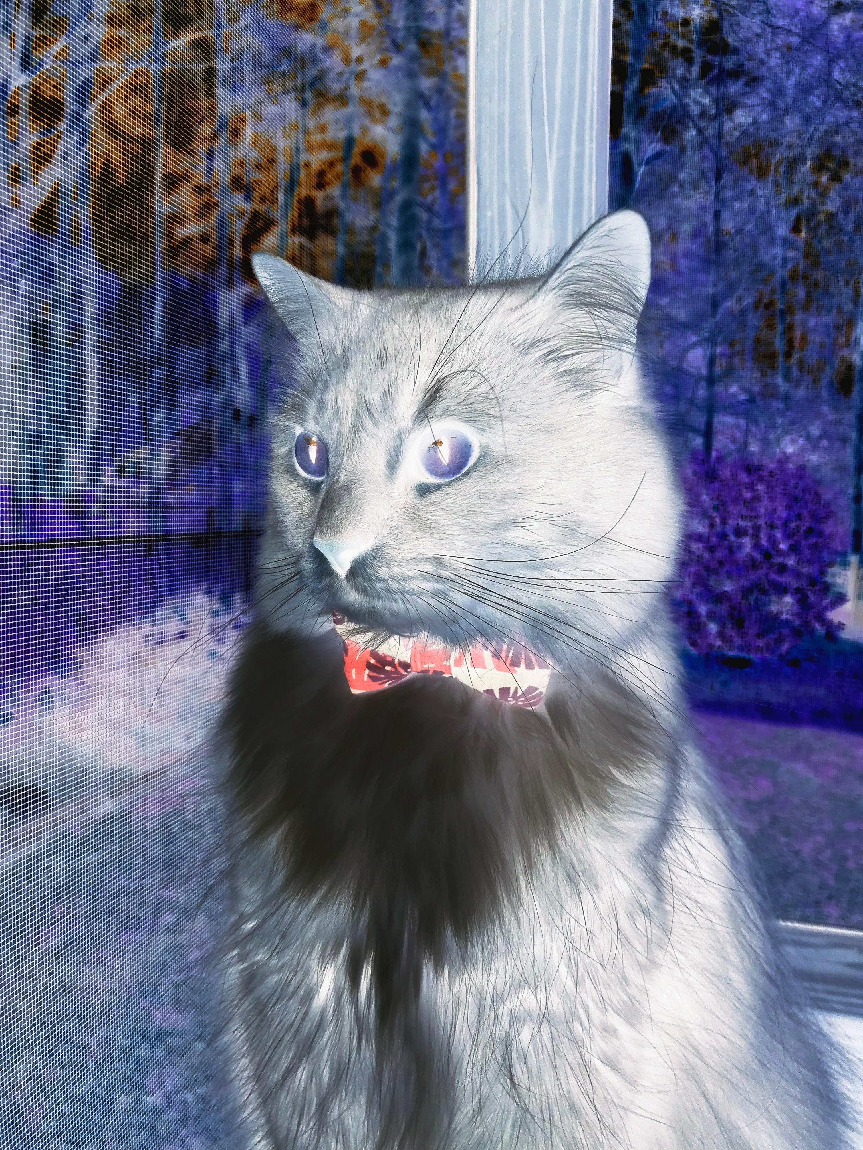 顶与底的定义，当世界排名争夺战的棋局，由一记绝杀枪声终结