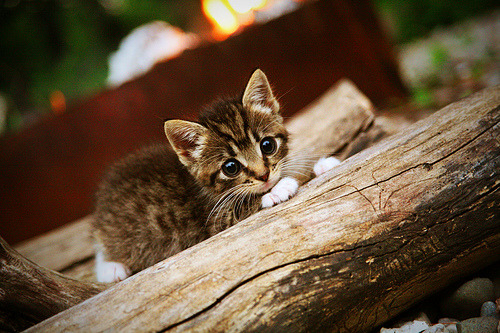 当绿茵变成角斗场，拉什福德在篮球式抢七之夜的统治级表演