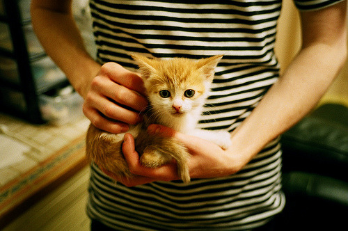末节定江山！奇兵霍勒迪单节15分打懵篮网，太阳靠防守赢得窒息一战