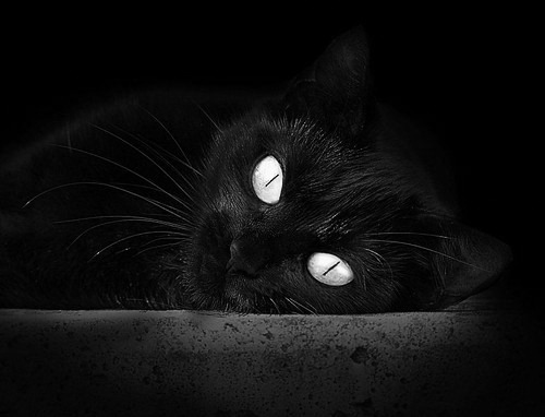 中场之肺如何让心跳复苏，德布劳内与乌克兰的奇迹逆转