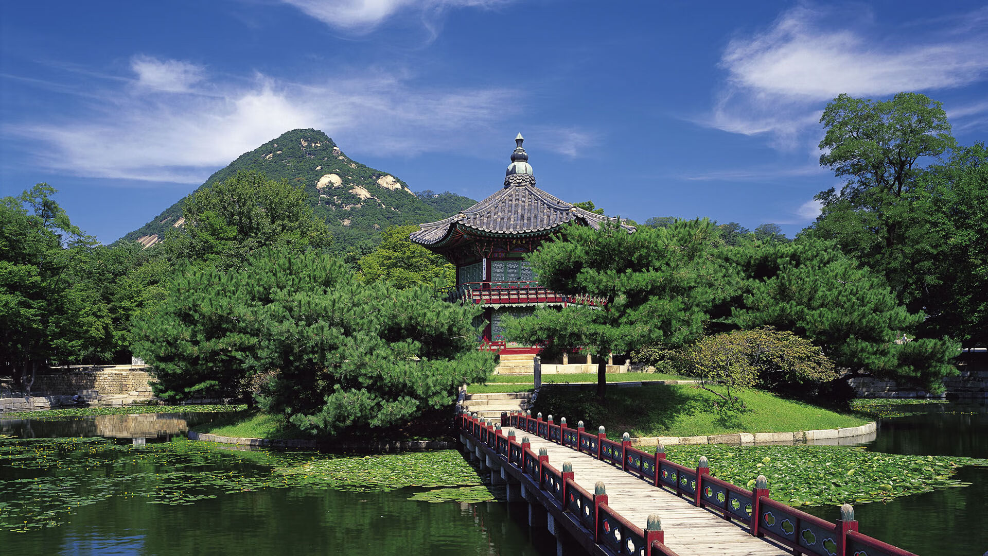 绿茵神谕,当萨拉赫的魔法笼罩哥伦比亚与喀麦隆之战