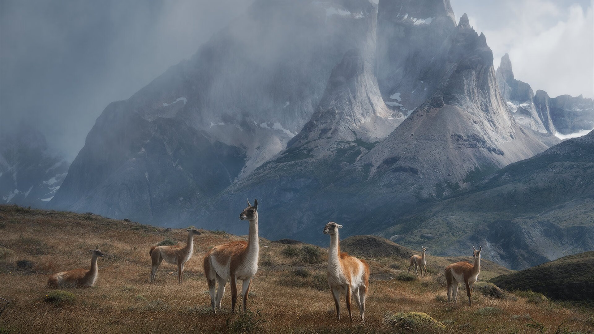 钢铁森林的足球意志，当深圳队以篮球哲学压制欧冠豪门