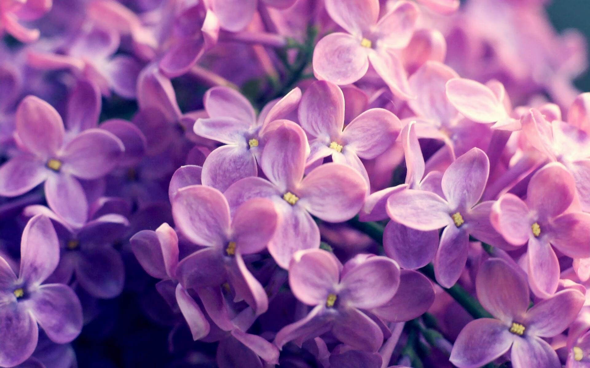 年度焦点之战之夜，利拉德压力下镌刻永恒的爆发瞬间