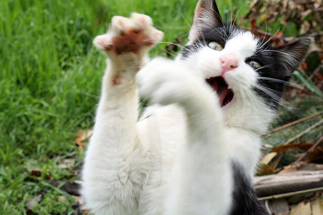 从门线到云端，奥纳纳的呐喊与比利亚雷亚尔在绝境中绽放的黄色荣耀