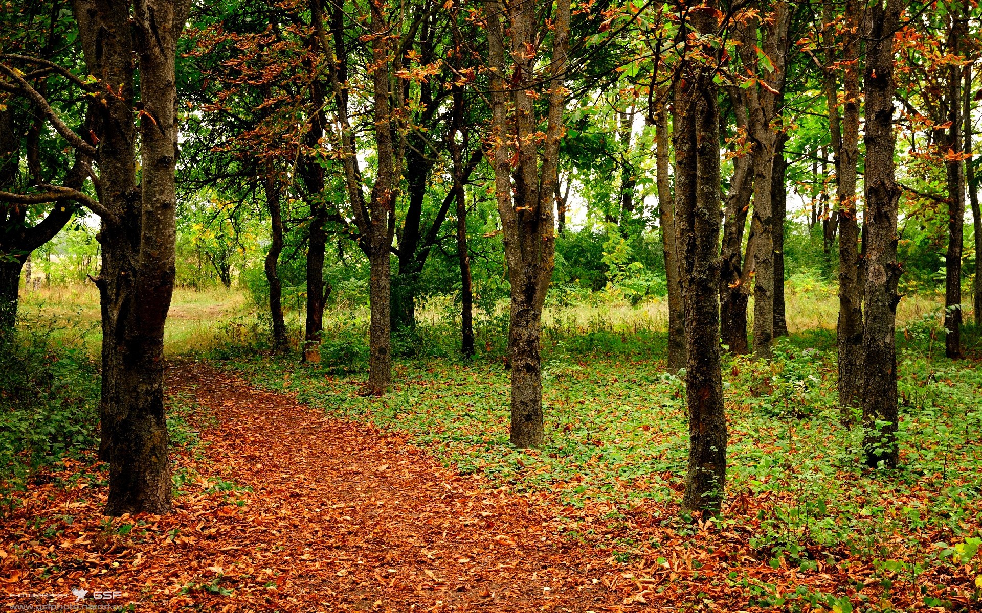 当东方魔力撕裂西方篮网，上海男篮速胜快船背后，塔图姆数据核爆之谜