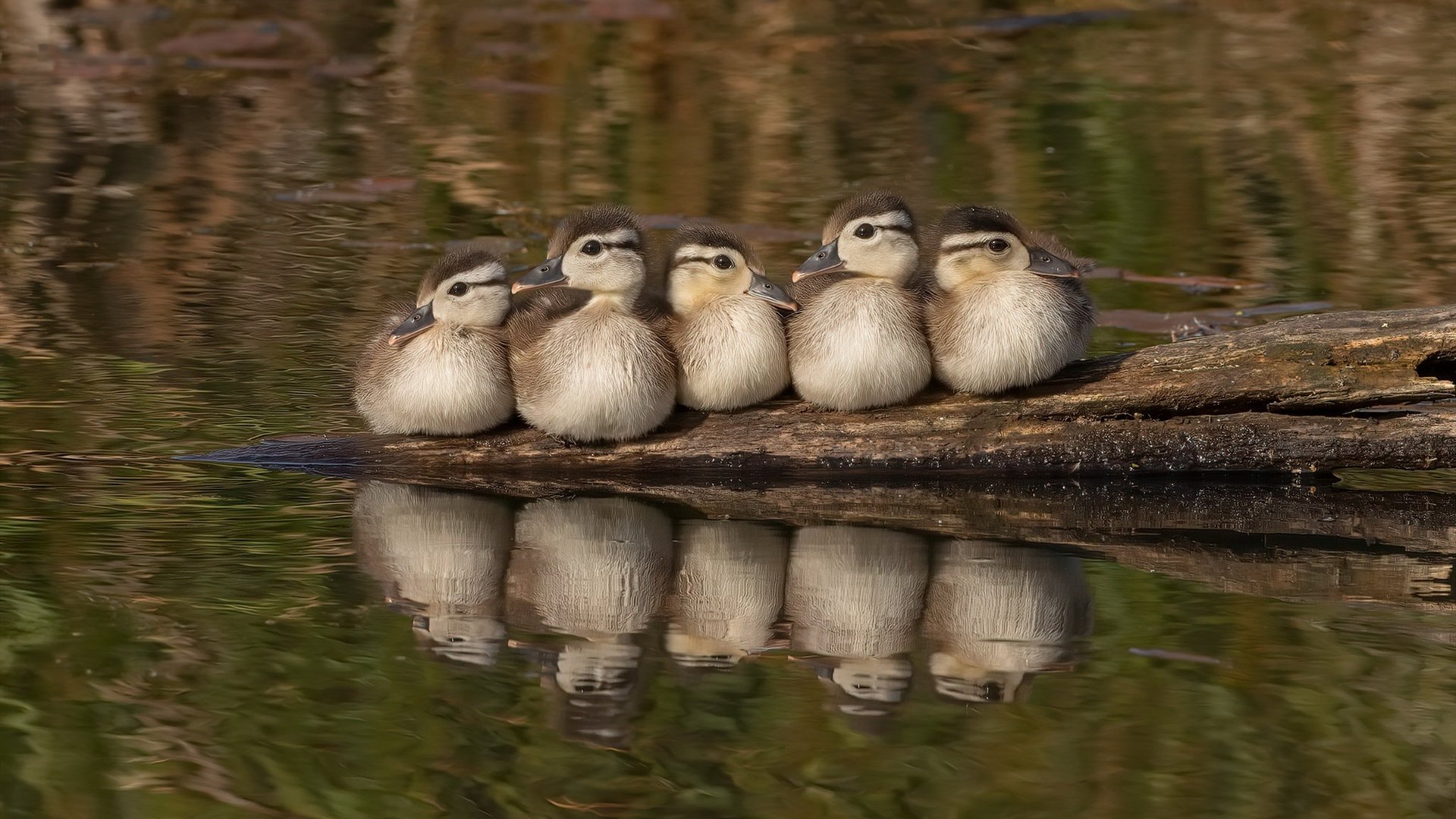 命运齿轮的转动，在奥运周期关键战与巴萨突围伊拉克之间