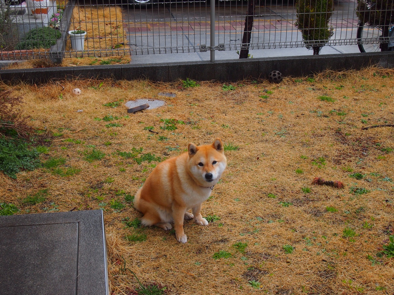 史上最神秘的季前赛，当广东队穿越时空撞上马刺，伦纳德让对手完全无解