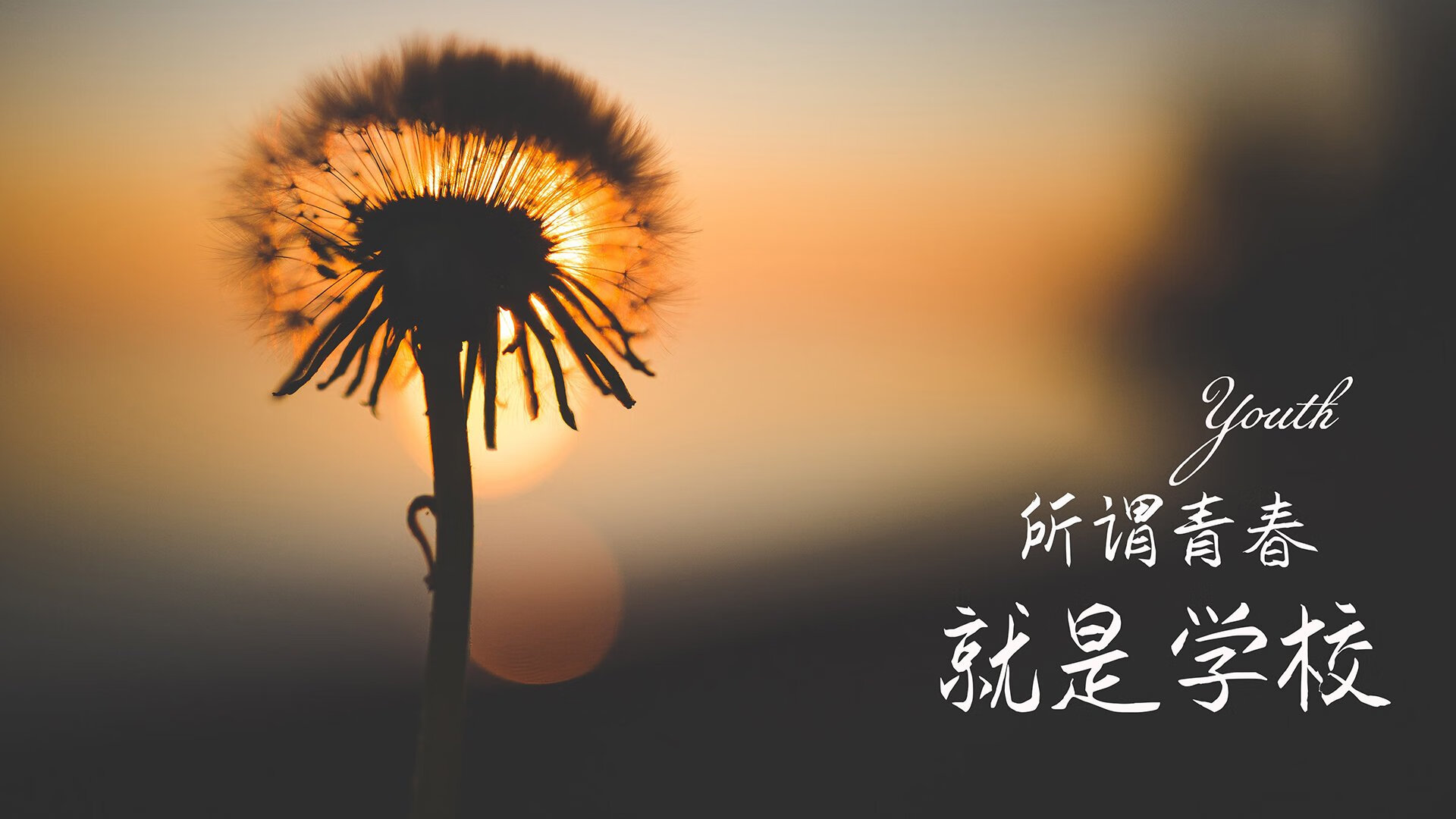 死亡A组的双面图腾,范戴克铸起钢铁长城,伊朗波斯铁骑绝地求生
