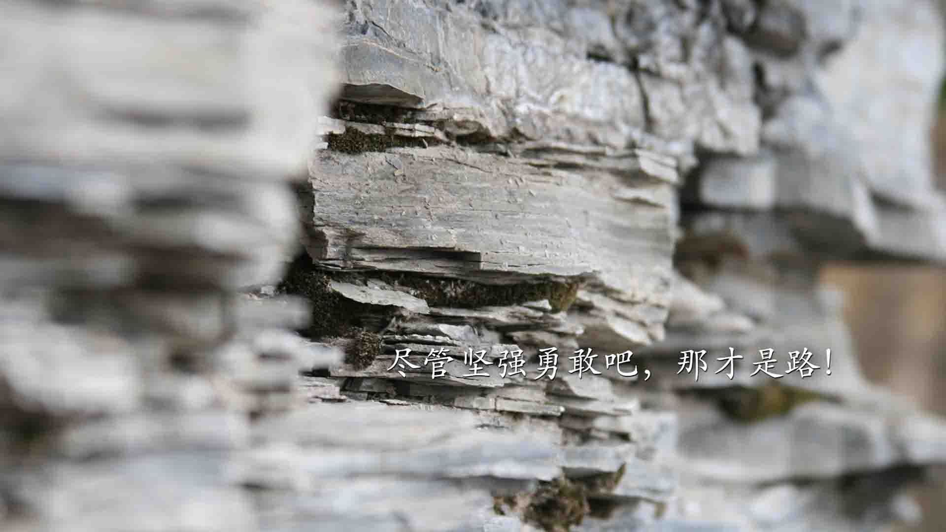 当桑巴狂舞吞噬斗牛士,京多安,在废墟上独自闪耀的孤星