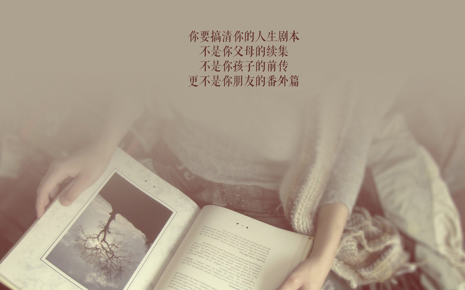 钢铁丛林的萨满,当瑞典的秩序,击碎了乌拉圭的狂想—2026世界杯A组焦点战,一场关于唯一性的中场革命