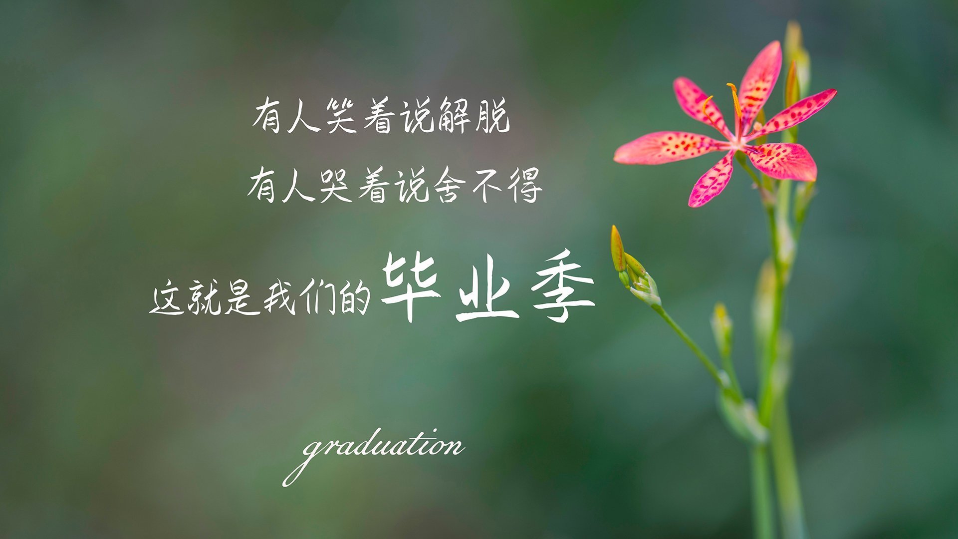 以下是为你构思的文章